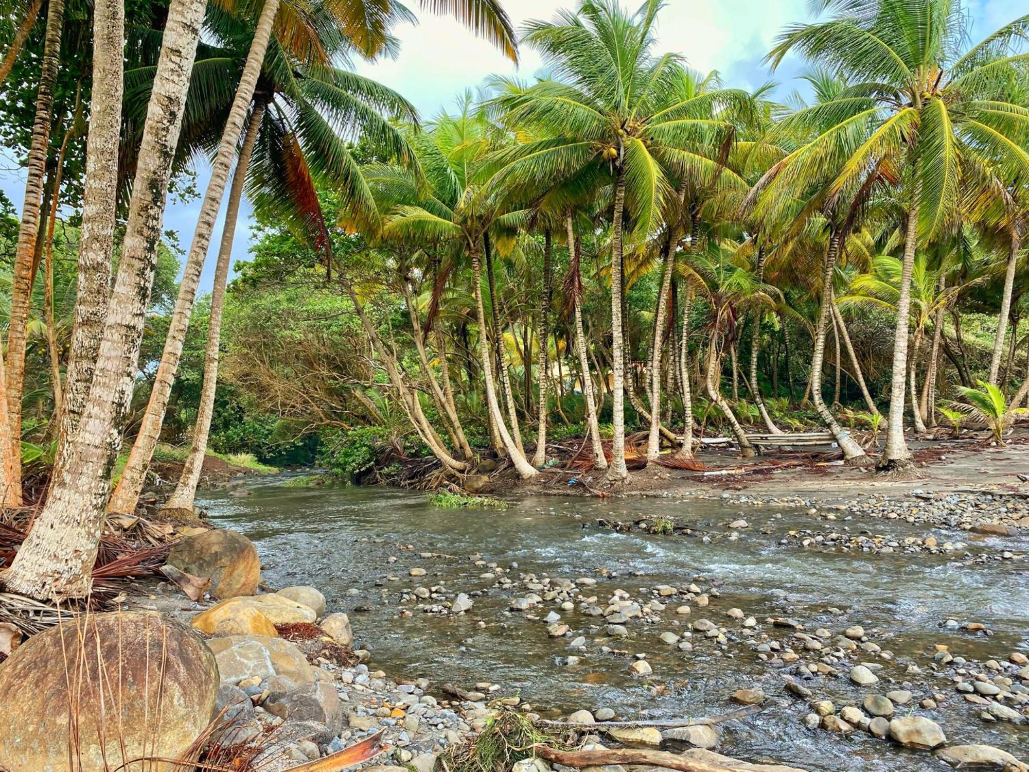 Maison D'O Baie De Saint-Jacques, Sur Une Plage Sauvage Сент-Мари Экстерьер фото