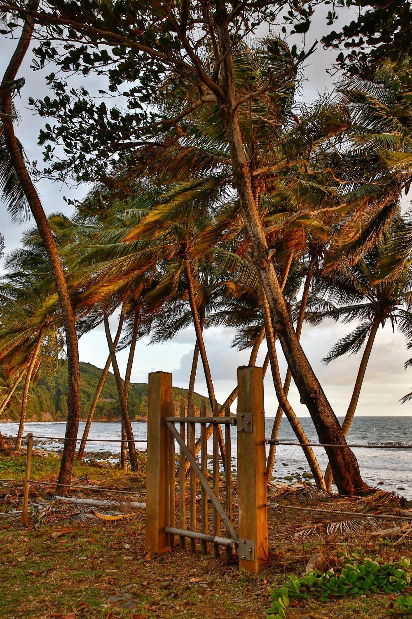 Maison D'O Baie De Saint-Jacques, Sur Une Plage Sauvage Сент-Мари Экстерьер фото