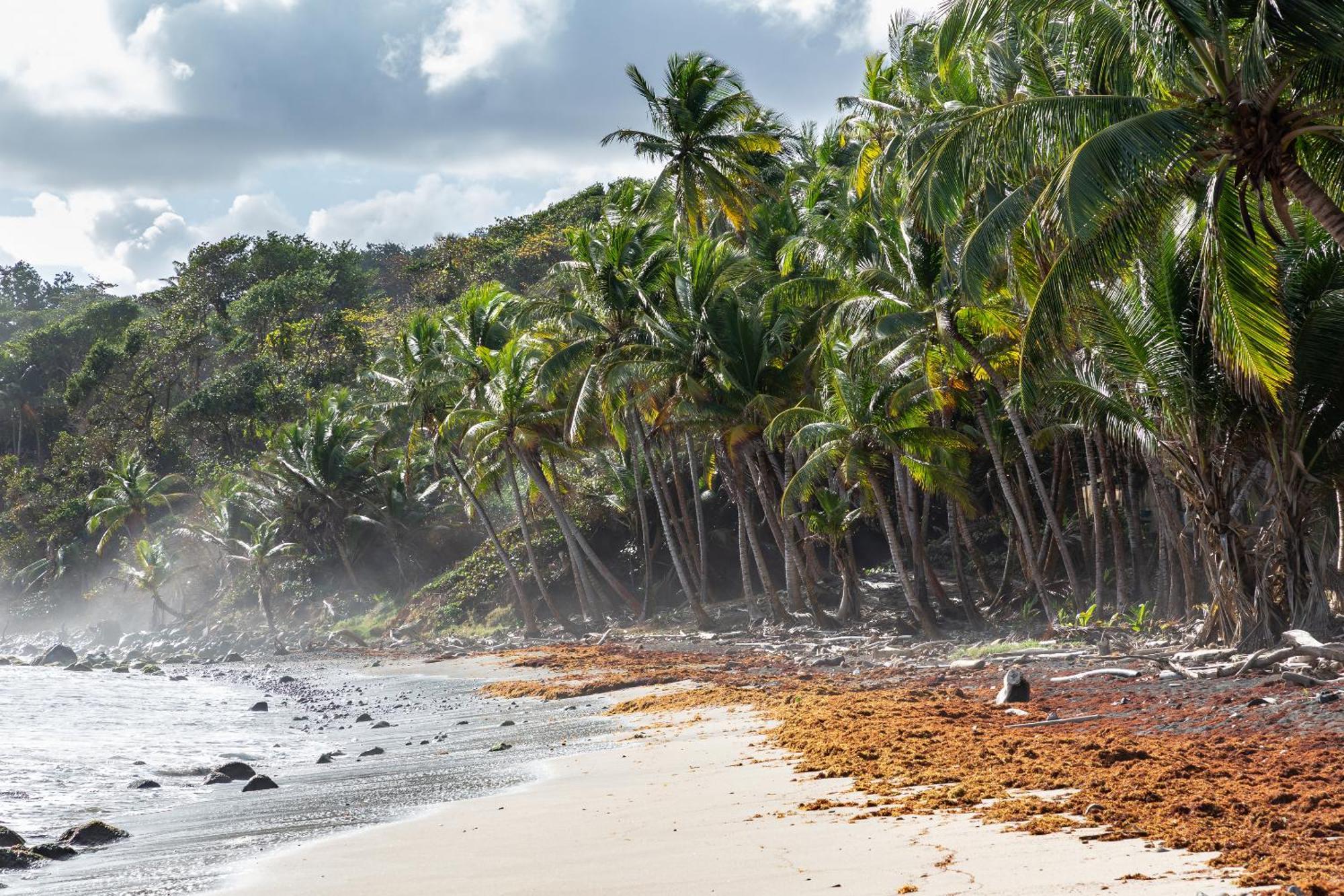 Maison D'O Baie De Saint-Jacques, Sur Une Plage Sauvage Сент-Мари Экстерьер фото