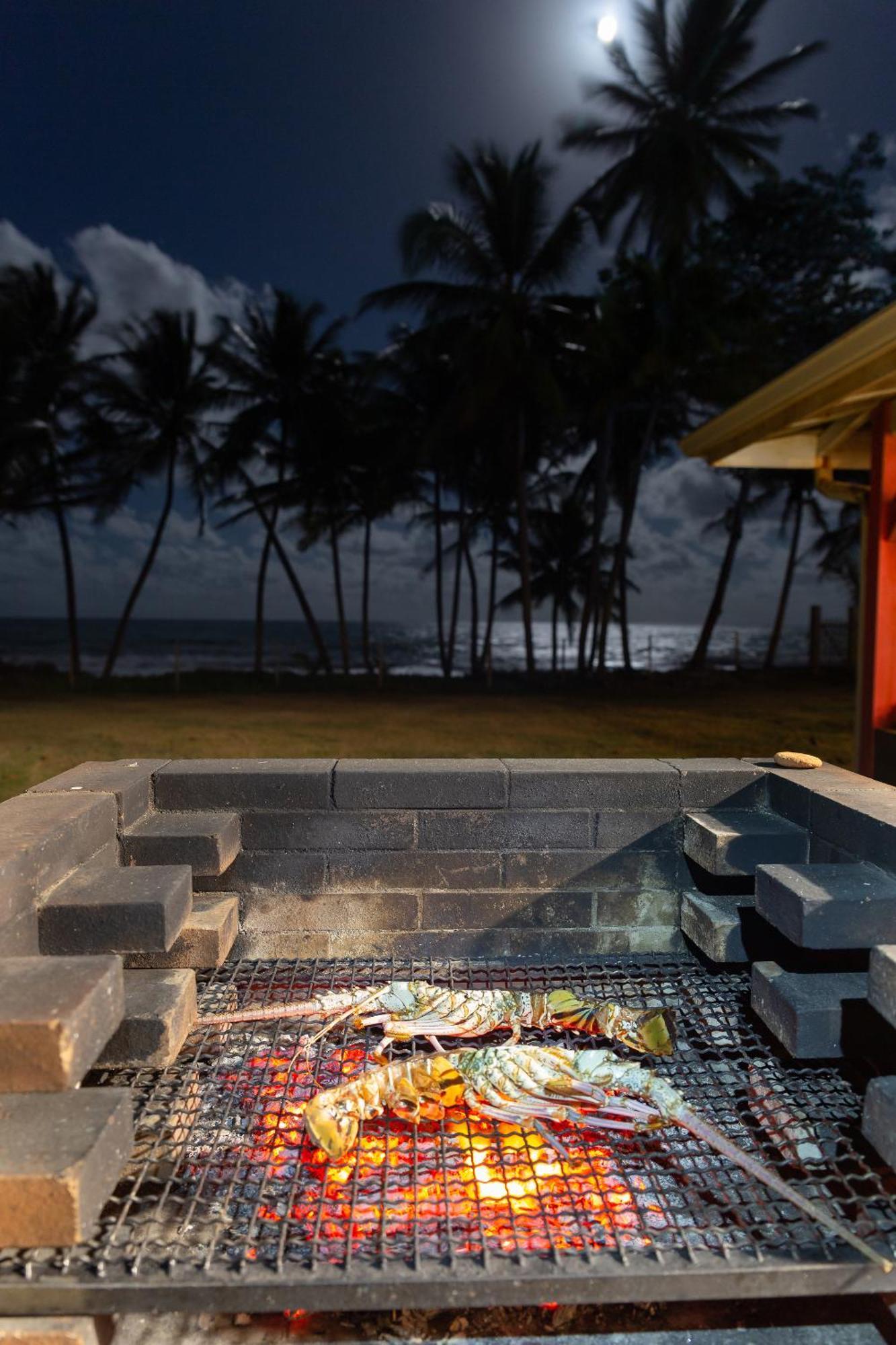 Maison D'O Baie De Saint-Jacques, Sur Une Plage Sauvage Сент-Мари Экстерьер фото