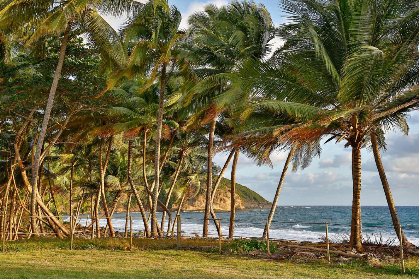Maison D'O Baie De Saint-Jacques, Sur Une Plage Sauvage Сент-Мари Экстерьер фото